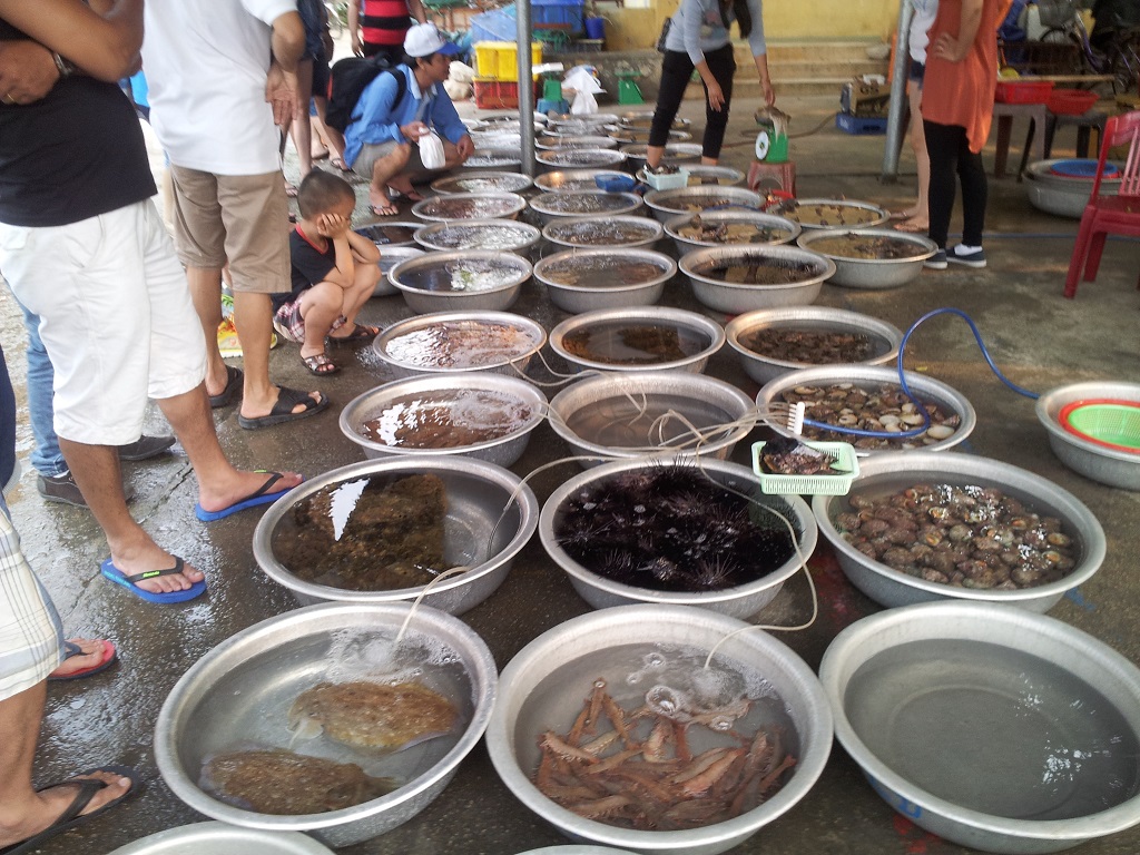 Chợ Tân Hiệp - Cù lao Chàm