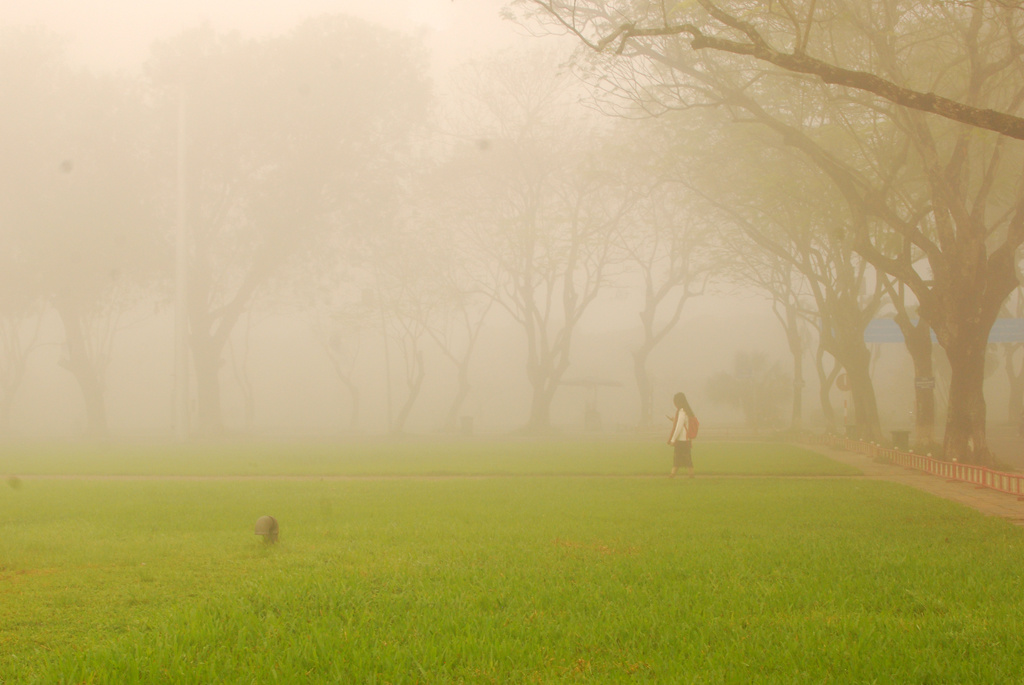 Du khách đến Huế thích khung cảnh đầy sương