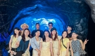 HDV Hoàng Tú - Đoàn chị Hương