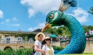 HDV Trọng Vinh - Đoàn anh Linh